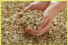 Wheat Bran Pellets